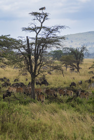 0177-tanzanie-2022.jpg