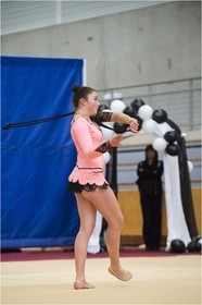 R1-022-10-LE MILLER Romane