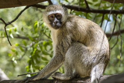 0222-tanzanie-2022.jpg