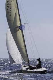 217.jpg