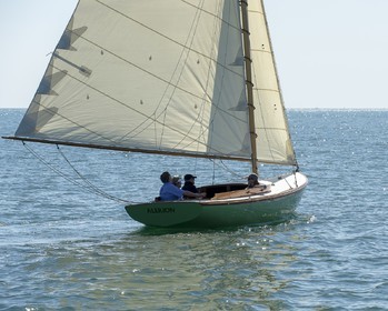 12-Glazigouden