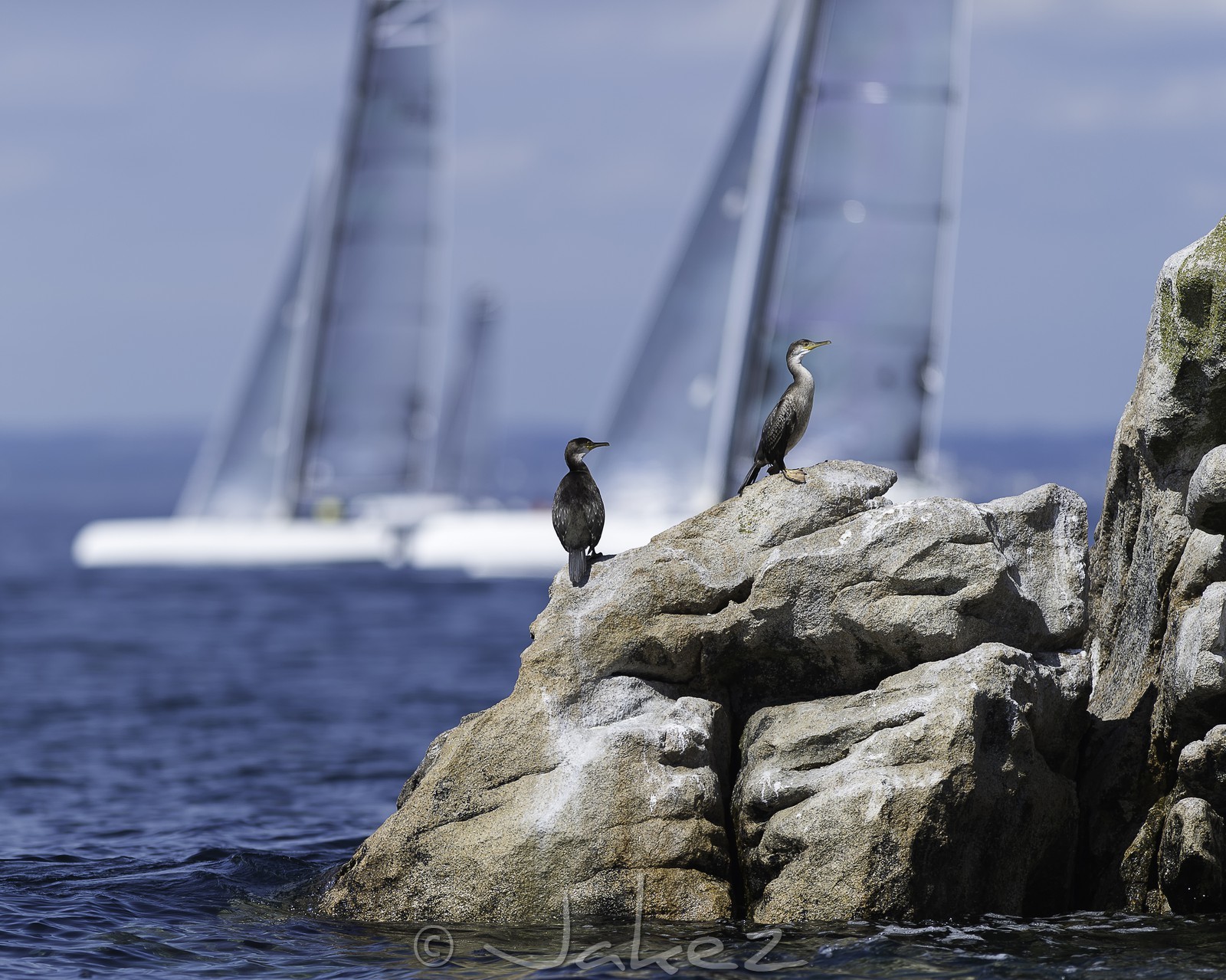 050-diam-24-gp-portlaf-2015-.jpg