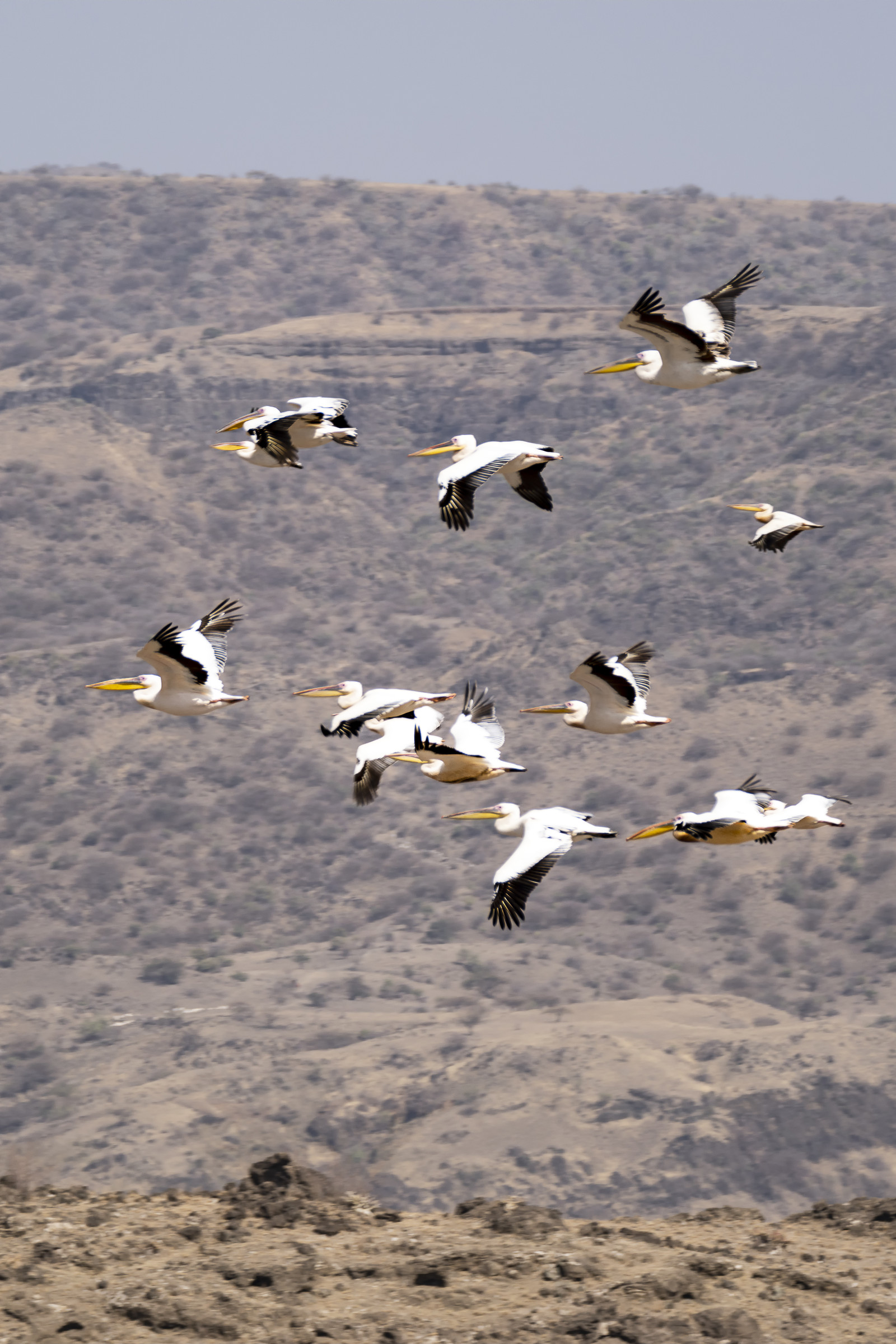 0236-tanzanie-2022.jpg