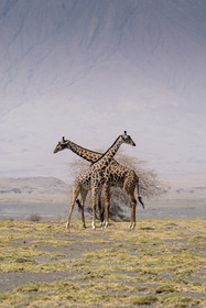 0225-tanzanie-2022.jpg
