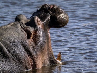 0062-tanzanie-2022.jpg