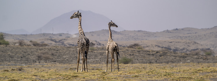 0224-tanzanie-2022.jpg