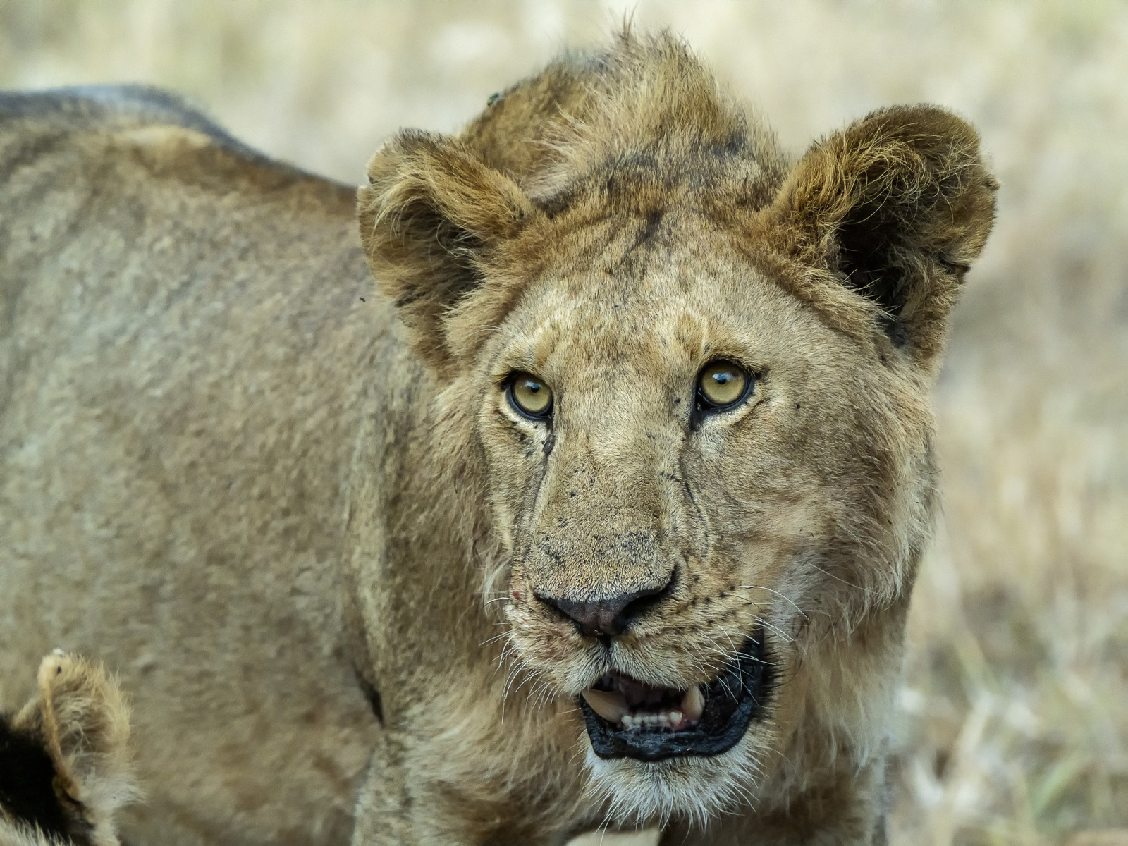 0096-tanzanie-2022.jpg