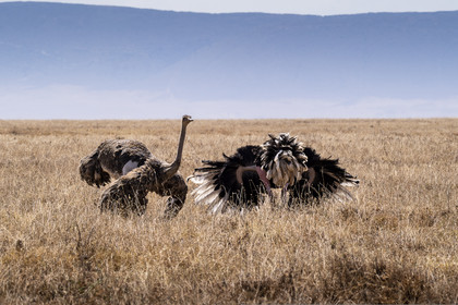 0071-tanzanie-2022.jpg