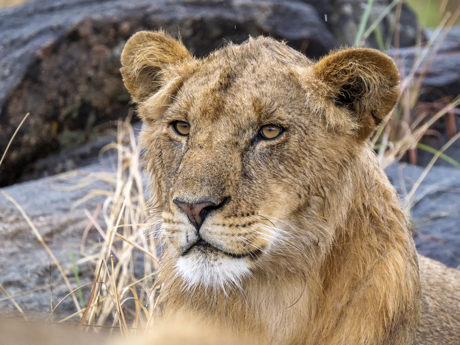 0160-tanzanie-2022.jpg