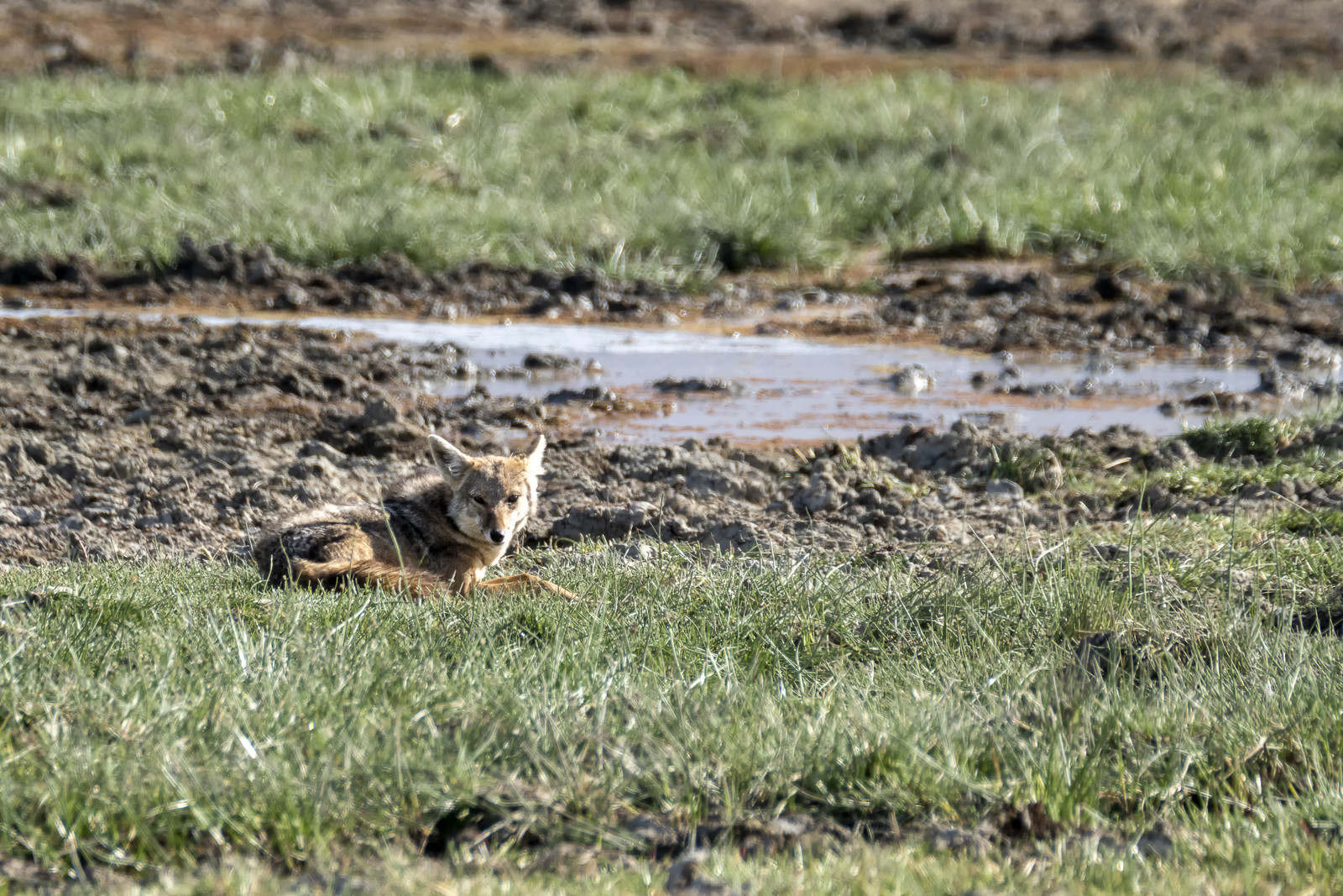 0056-tanzanie-2022.jpg