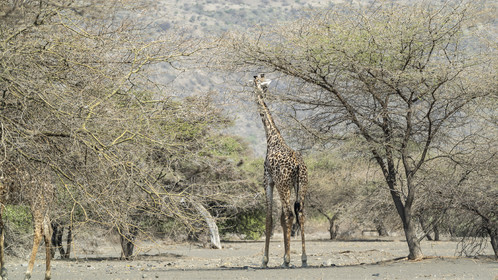0232-tanzanie-2022.jpg