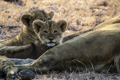 0054-tanzanie-2022.jpg