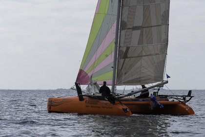36-multyco-2016.jpg