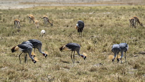 0075-tanzanie-2022.jpg