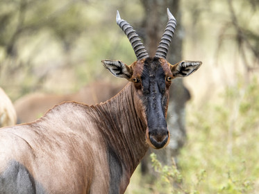 0195-tanzanie-2022.jpg