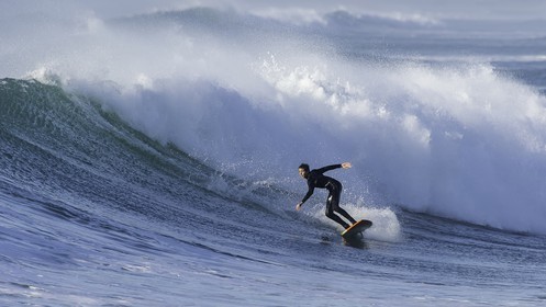 139-la-torche-2015-11-01.jpg