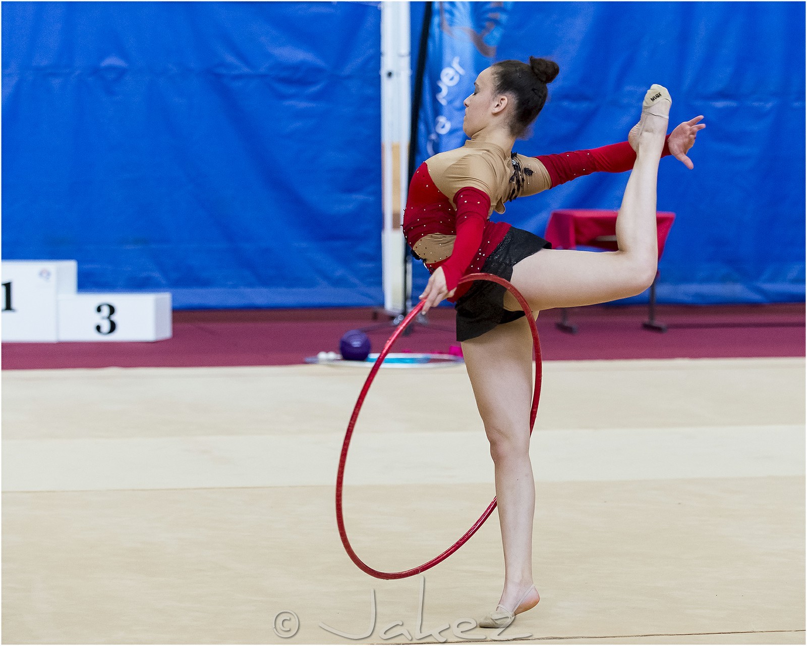 R3-15-02-LE BERRE Laurine