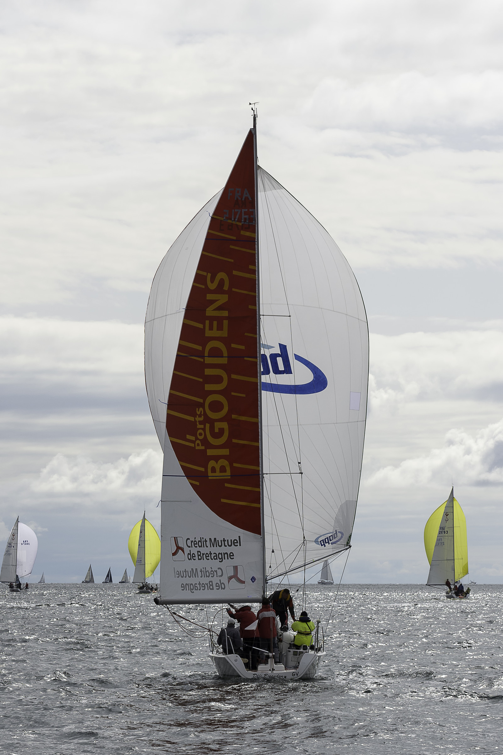 659-spi-2017.jpg
