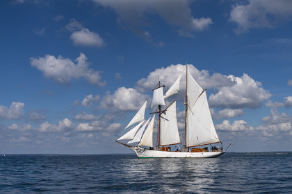 66-etoile.jpg