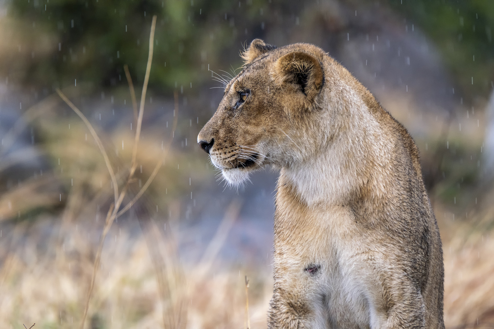0168-tanzanie-2022.jpg