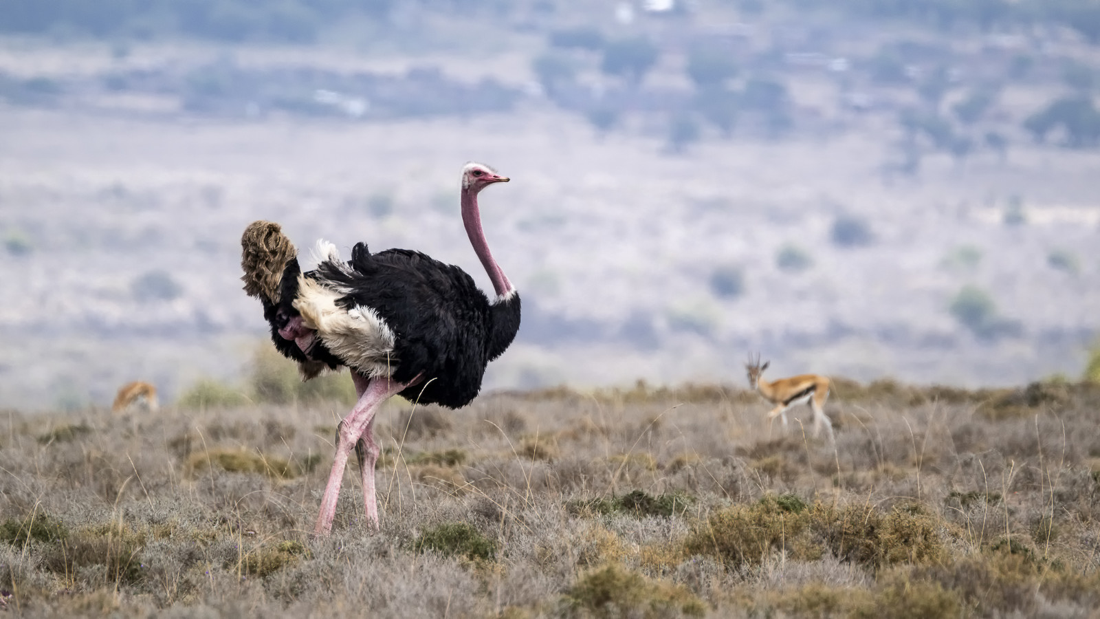 0211-tanzanie-2022.jpg