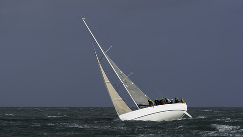 176-snt-2017.jpg