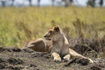 0118-tanzanie-2022.jpg