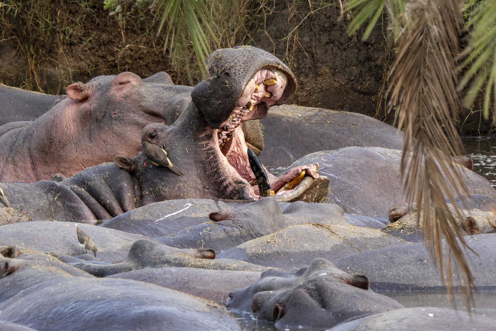 0102-tanzanie-2022.jpg