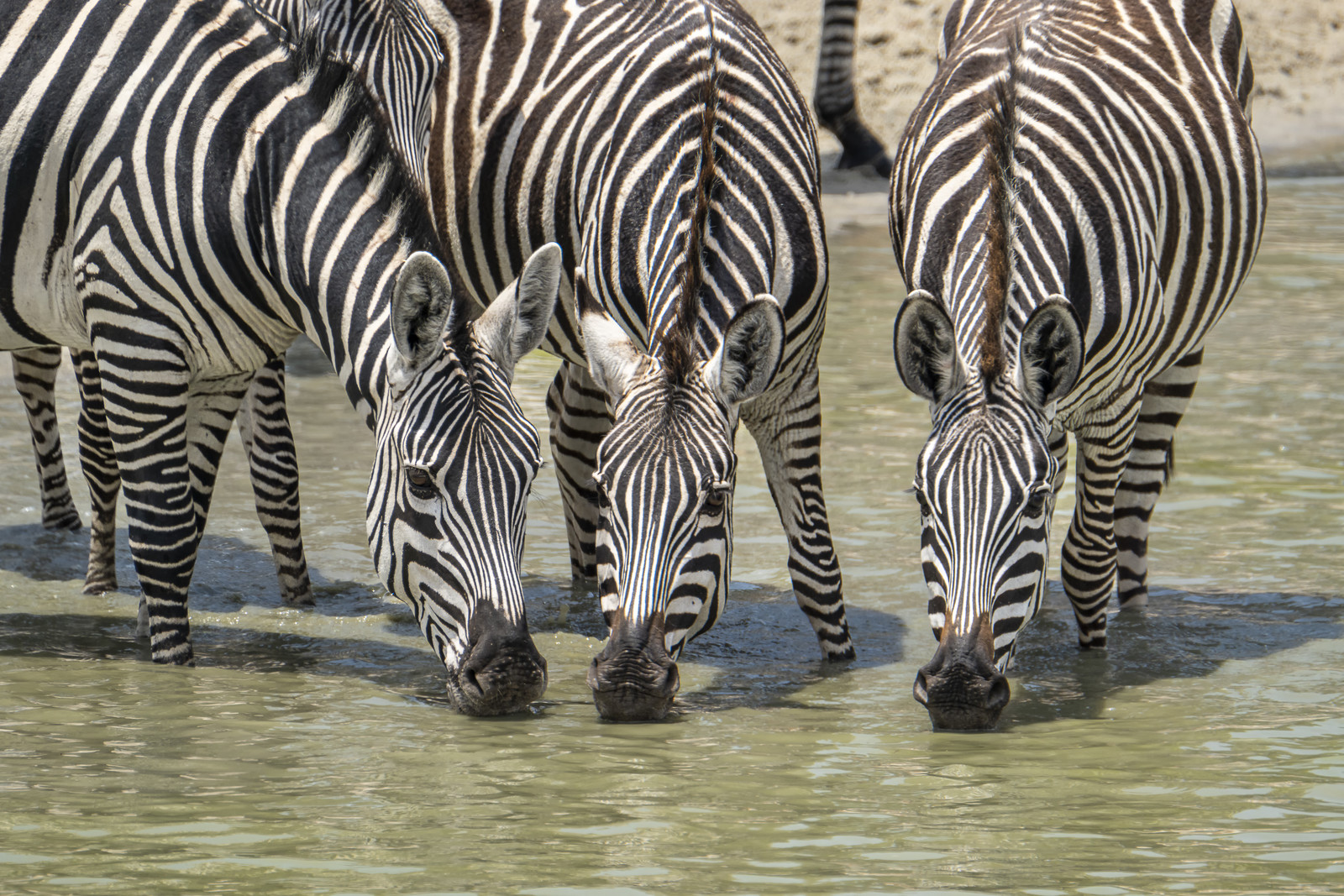0039-tanzanie-2022.jpg