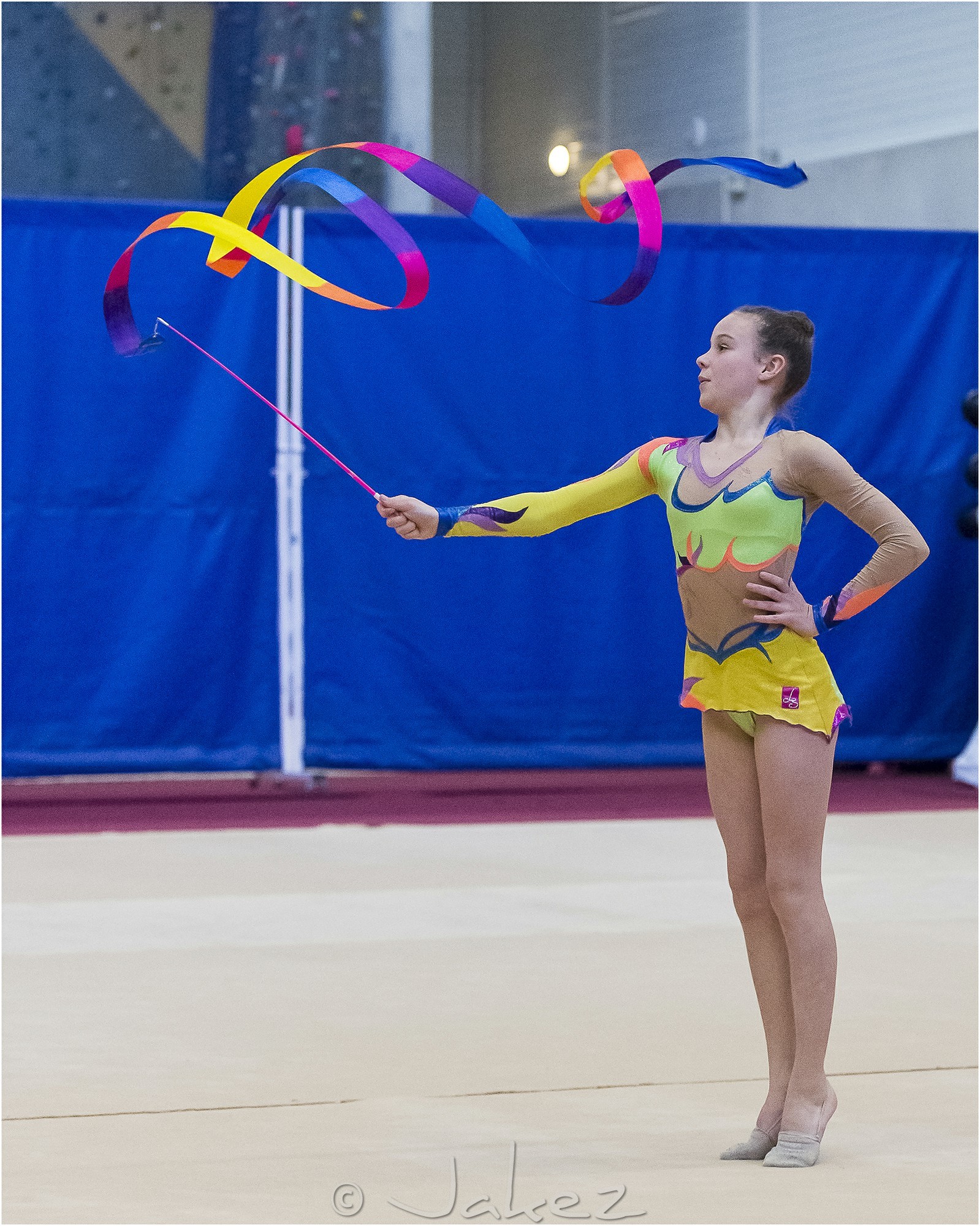 R4-04-24-FRESNEL Lisa