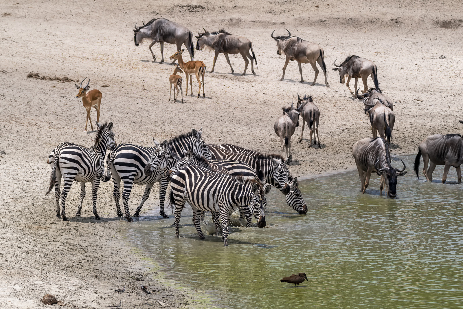 0040-tanzanie-2022.jpg