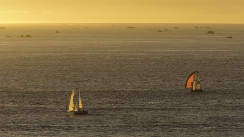 141-minitransat-2015-depart-.jpg