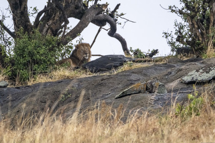 0152-tanzanie-2022.jpg