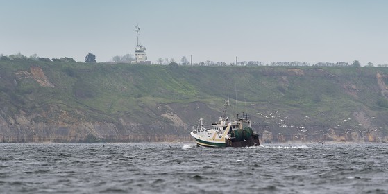 313-defi-2015.jpg