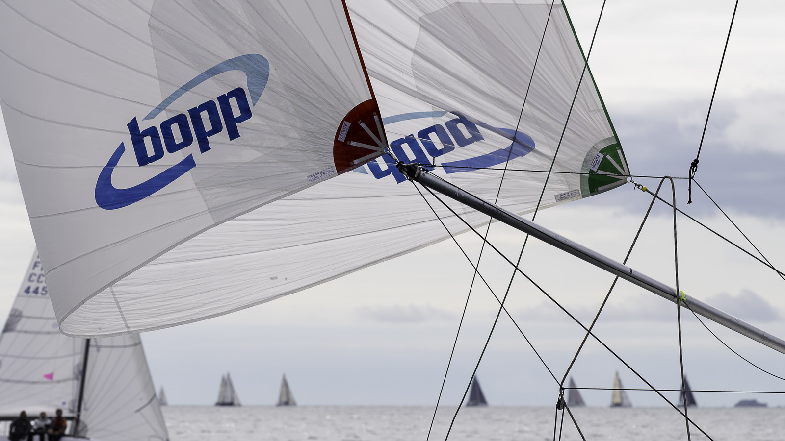 313-spi-2017.jpg