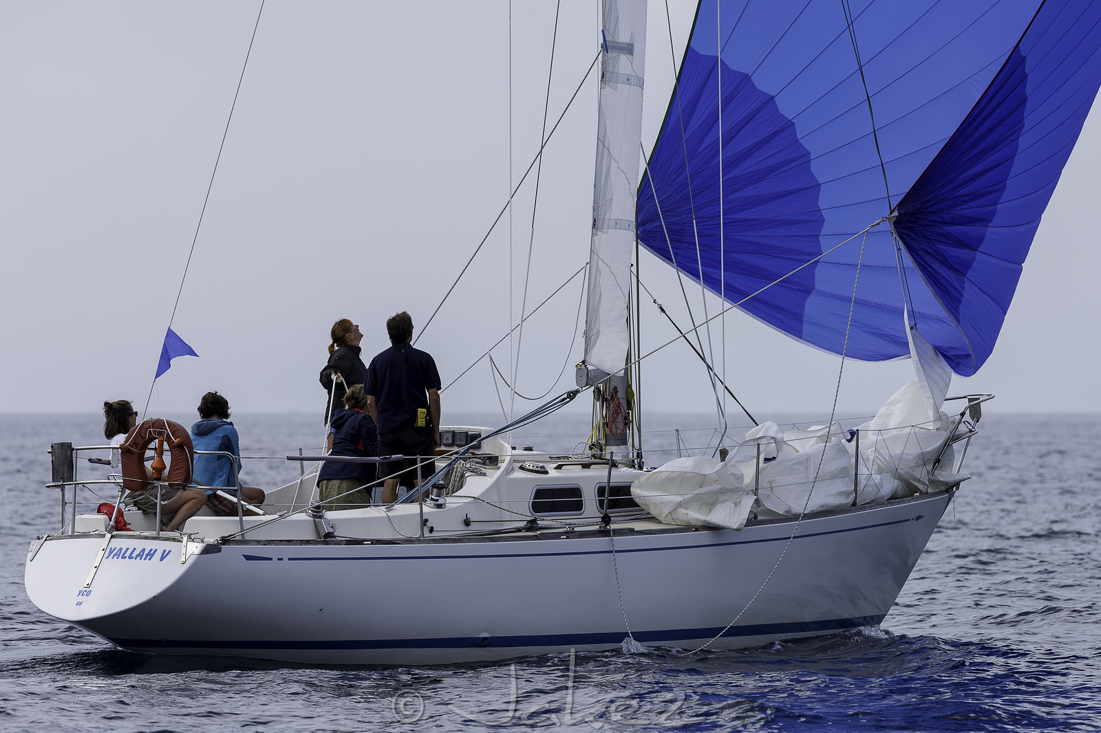 319-osiris-irc-samedi-.jpg