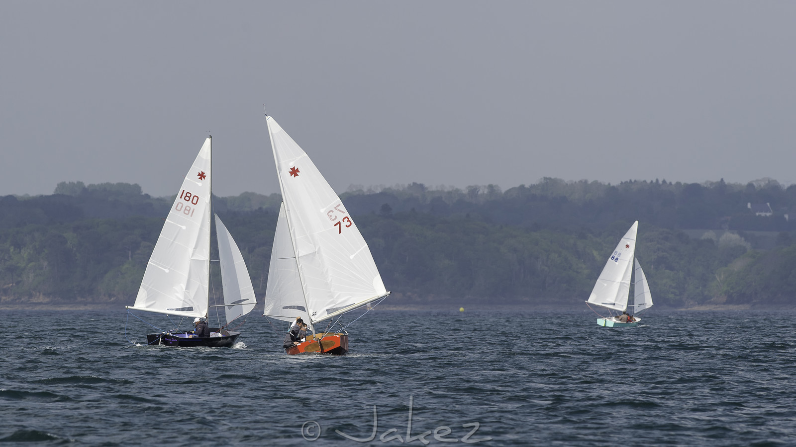 109-cara-cup.jpg