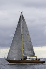 235.jpg