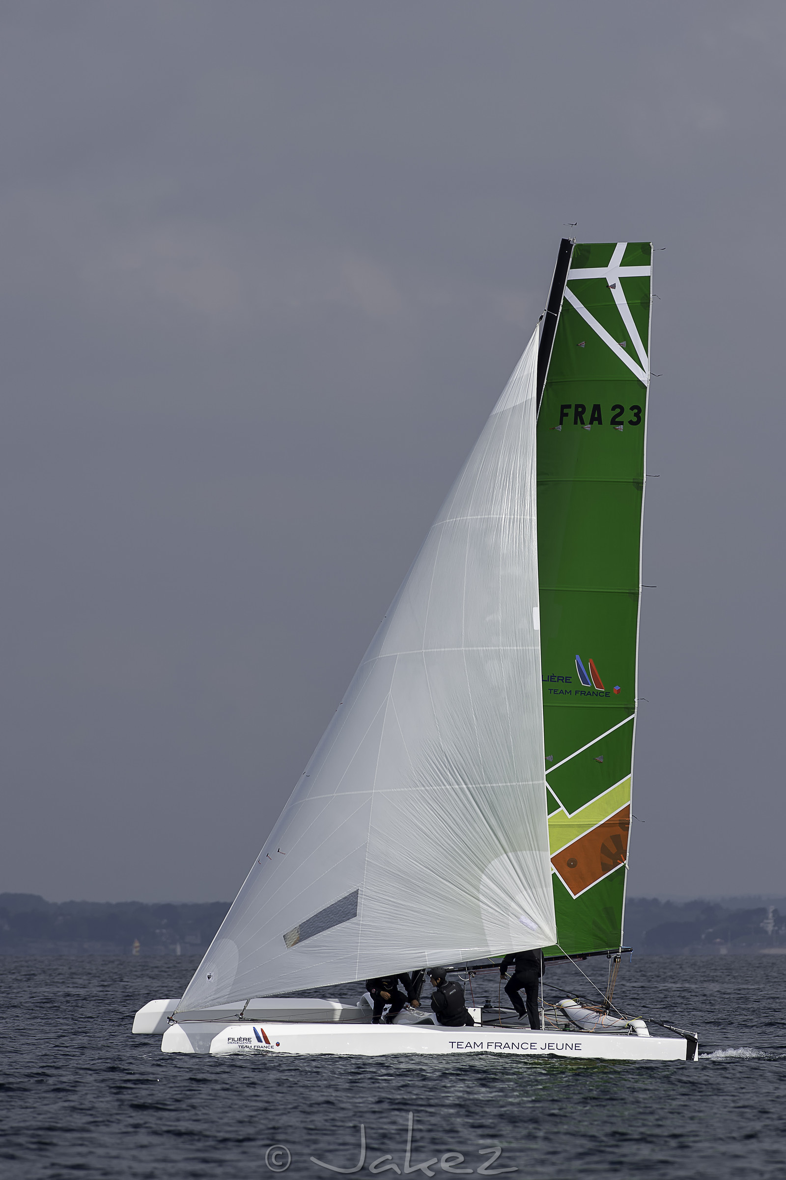 63-multyco-2016.jpg