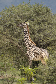 0206-tanzanie-2022.jpg