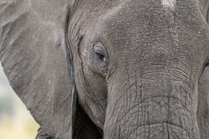 0184-tanzanie-2022.jpg