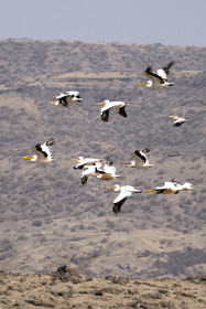 0236-tanzanie-2022.jpg