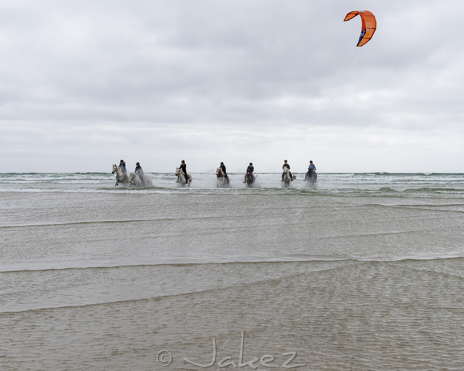 015-chevaux-a-tronoen.jpg
