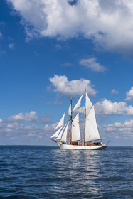 64-etoile.jpg