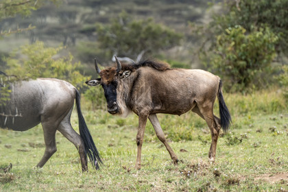 0198-tanzanie-2022.jpg