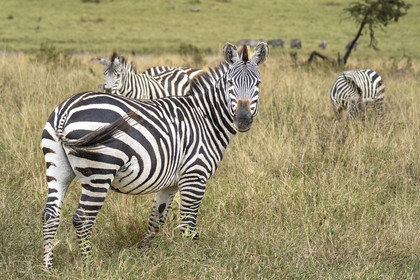 0193-tanzanie-2022.jpg