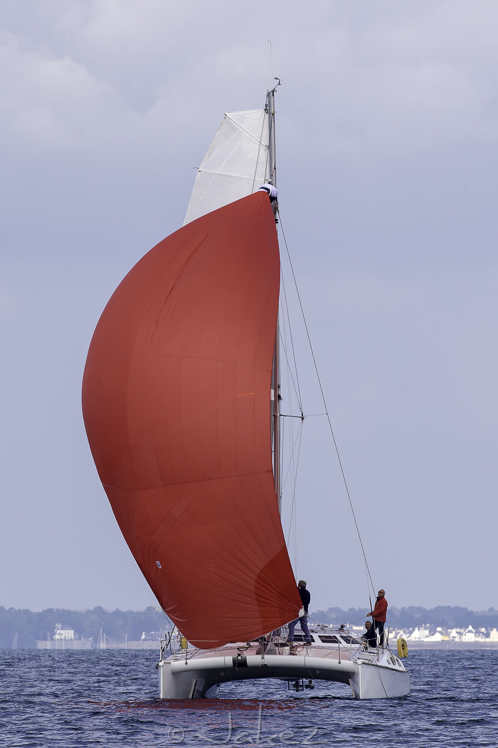 31-multyco-2016.jpg