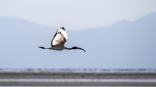0234-tanzanie-2022.jpg