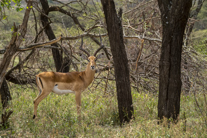0209-tanzanie-2022.jpg