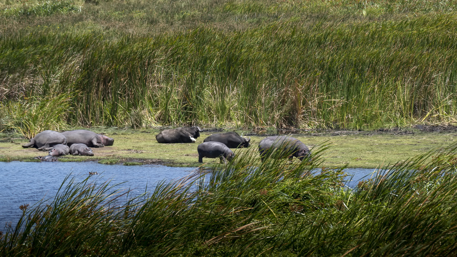 0072-tanzanie-2022.jpg